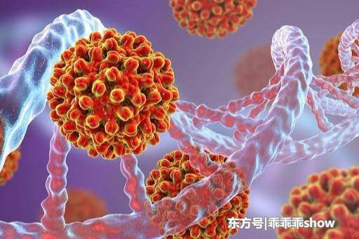 哈密市出台《关于全面促进哈密市快递业发展的行动方案》|开云中国(图3) 开云官网